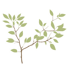 Lush Greenery Leaf Branch  Botanical Beauty and Natural Elegance