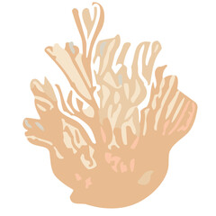 Obraz premium Oceanic Symphony: A Coral Canvas of Nature's Brilliance