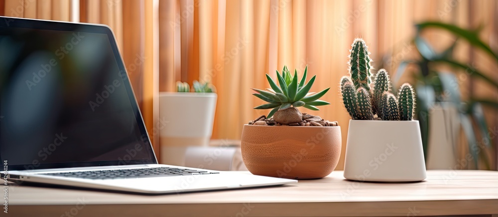 Aufkleber cactus and bamboo reside on a desk near a computer at home