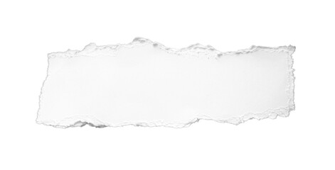 torn white paper isolated on transparent background