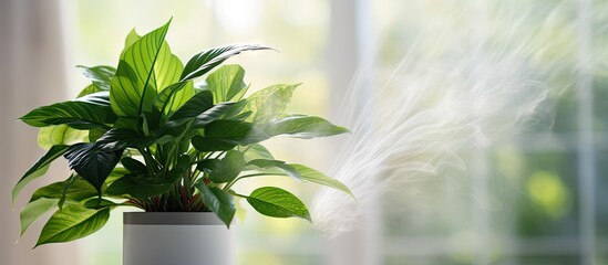 Air purifier and humidifier provides cold steam to hydrate green houseplants contributing to a healthy lifestyle by ensuring care and moisture in dry air as well as fresh air cleanliness and du - obrazy, fototapety, plakaty