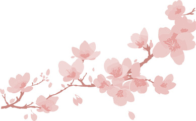 Blooming Elegance A Delightful Sakura Vector Illustration, Perfect for Capturing the Beauty of Cherry Blossoms in Your Designs
