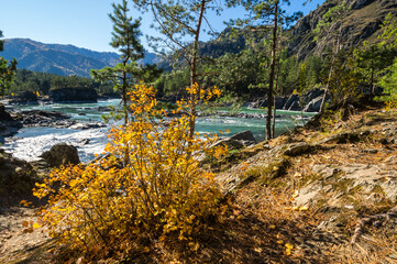 View of river Katun and Altay mountains
