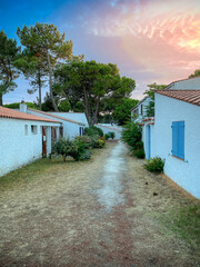 Fototapeta na wymiar Looking down a street with white Mediterranean style low houses with orange tiled roofs on either side and large pine trees at the end with an orange sunset in the summer sky.