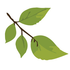 Blossoming Beauty A Sakura Tree Vector Set for Capturing the Elegance of Cherry Blossoms in Spring