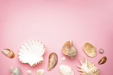 Many beautiful sea shells on pink background, top view. Space for text.