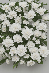 white flowers in a garden