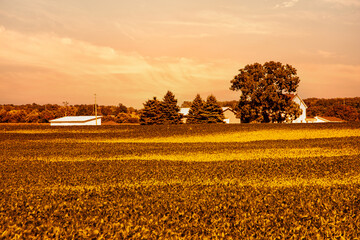 Golden dawn in the countryside