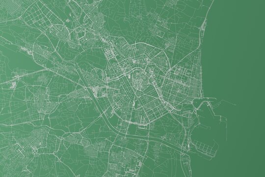 Stylized map of the streets of Valencia (Spain) made with white lines on green background. Top view. 3d render, illustration