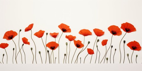 A row of red poppies on a white background. Digital image.