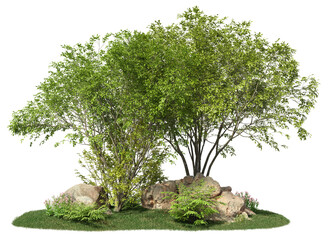 Group of trees among the rocks. Cutout trees isolated on transparent background. Landscape of green deciduous in summer. Forest scape for landscaping or architectural visualisation.	
