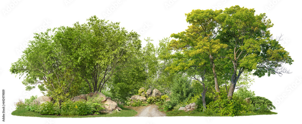 Fototapete coniferous forest pathway. cutout trees isolated on transparent background. forest scape with trees 
