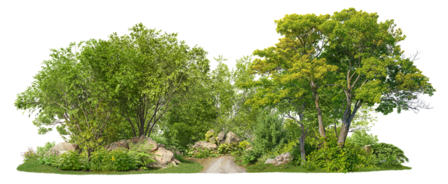 Coniferous forest pathway. Cutout trees isolated on transparent background. Forest scape with trees and bushes among the rocks. Tree line landscape in summer.	
