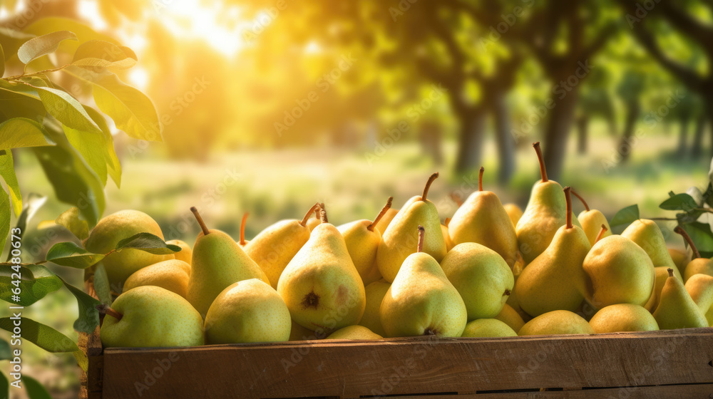 Sticker pears in a wooden box