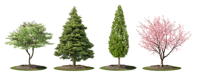 Cutout shrubs for garden design or landscaping. Group of trees and pine isolated on transparent background.	
