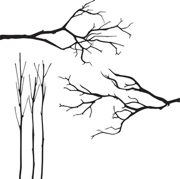 tree branches set