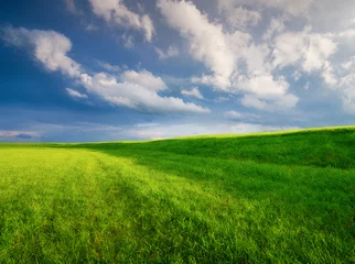 Tuinposter Minimalistic landscape. A clouds before a storm. Field and pasture for animals. Agricultural fields and pastures. Summer landscape. © biletskiyevgeniy.com