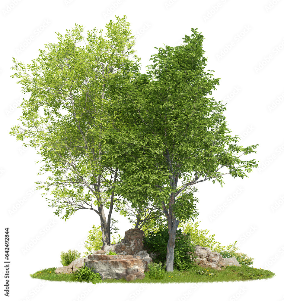 Fototapete group of trees among the rocks. cutout trees isolated on transparent background. landscape of green 