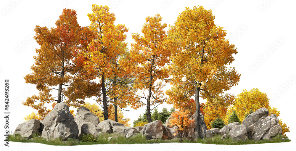 Fototapete group of deciduous trees among the rocks. cutout yellow trees in autumn isolated on transparent back
