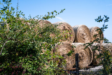 Fototapeta premium des meules de foin dans une ferme du centre de la France en Europe