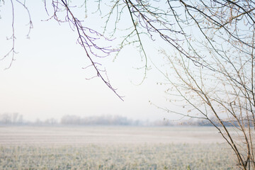 Hintergrundbild Winter