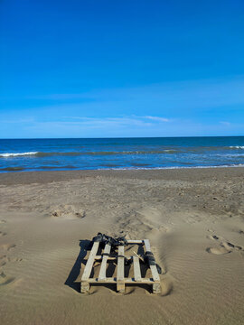 wood on the beach coast Delte Ebro