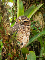 I'm watching you