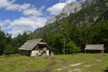 Fototapeta na wymiar Robanov kot valley in the Slovenian alps