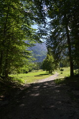 Fototapeta na wymiar Robanov kot valley in Slovenia