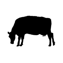 Cow silhouette - vector illustration
