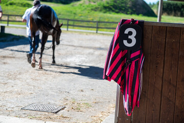 la casaque d'un jockey devant un cheval de course dans la région centre en France en Europe...