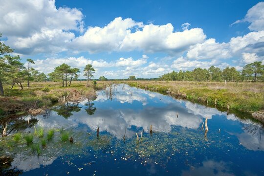 Groundless moor in Lower Saxony. Nature reserve with a moor landscape. Sky in lake, Windows wallpapers, Regeneration/rehydration area of the Venner Moor bog, Osnabrueck-Land, Lower Saxony, Germany