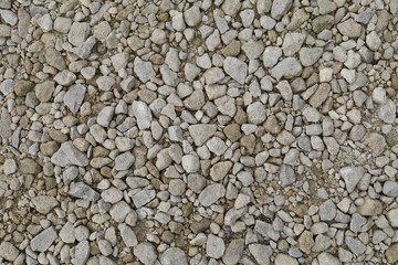 The background is white pebbles on the road