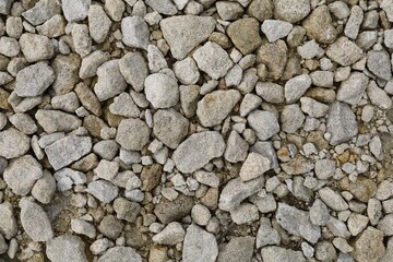 The background is white pebbles on the road