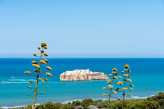 Penon de Alhucemas Island Fortress, Alhucemas Islands -  Spanish Enclave off the Moroccan Coast at Al Hoceima Morocco