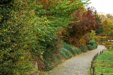 Fototapeta na wymiar View of beautiful autumn park with alley, bushes and trees