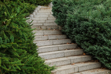 Obraz premium View of stairs and coniferous bushes in park