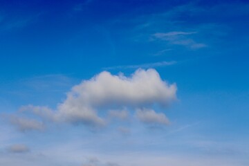 Fototapeta premium The white cloud in the bright blue sky.