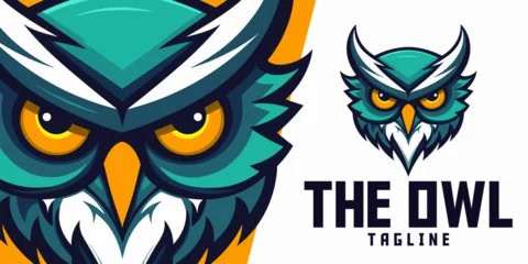 Photo sur Plexiglas Dessins animés de hibou Owl in Illustration: Logo, Mascot, Art, Vector Graphic for Sports and E-Sport Teams, Mascot Head of a Furious Owl