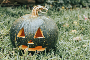 Close-up of carved pumpkin on green grassy surface. Halloween decoration concept