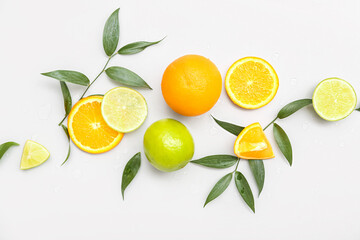 Orange with lime and plant branches on light background