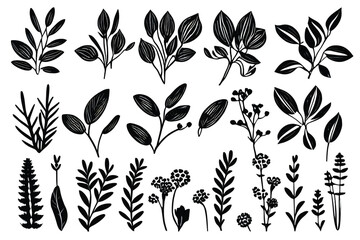 Beautiful flower and leaves icon set.