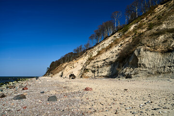 Baltic sea coast with sandy beach and cliff overgrown with trees on Wolin island