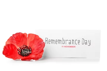 Papier Peint photo Lavable Canada Red poppy flower with card isolated on white background. Remembrance Day in Canada