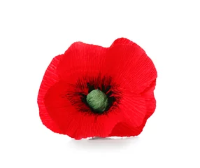 Fototapete Kanada Red poppy flower isolated on white background. Remembrance Day in Canada