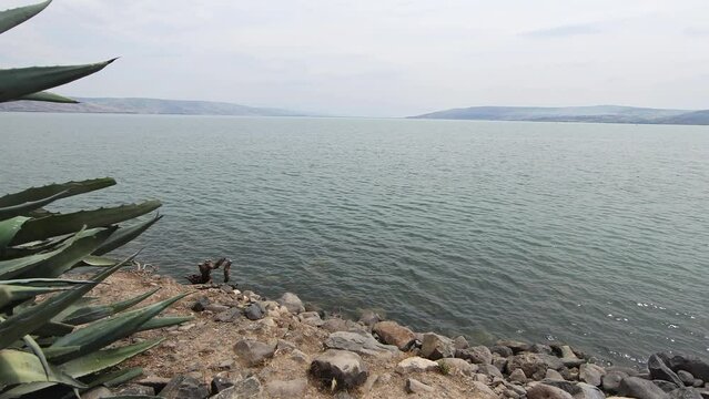Stead Cam Onto shore of Sea of Galilee
