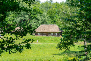 Obraz premium Summer landscape of traditional Ukrainian village