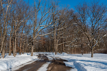 Snowy Scenes In The Local Park In February In Wisconsin