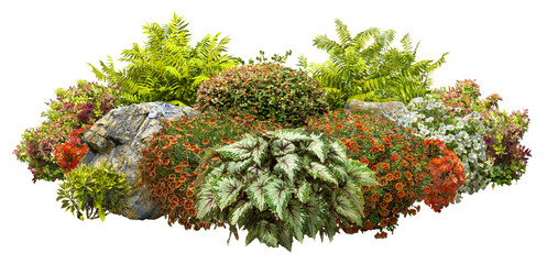 Cutout garden design. Flower bed isolated on transparent background. Flowering shrub and green plants for landscaping. Decorative shrub and boxwood hedge - obrazy, fototapety, plakaty