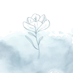 floral watercolor nature background flower outline